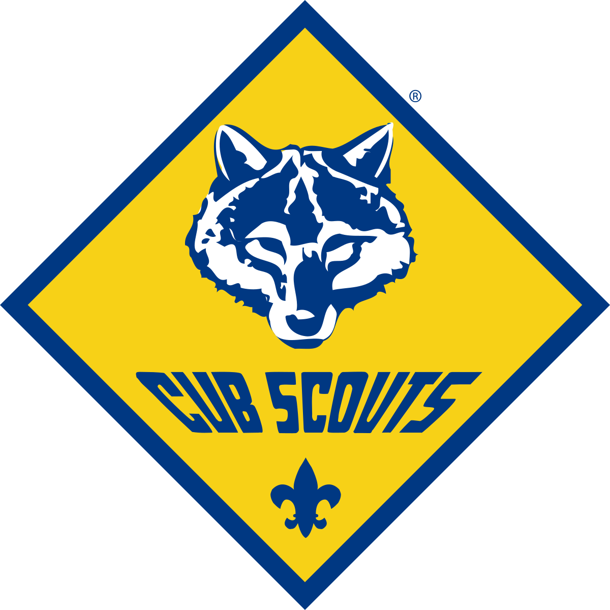 Cub Scouts Pack 3